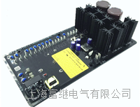 decs-100-a15发电机数字电压调节器 decs-100-b11